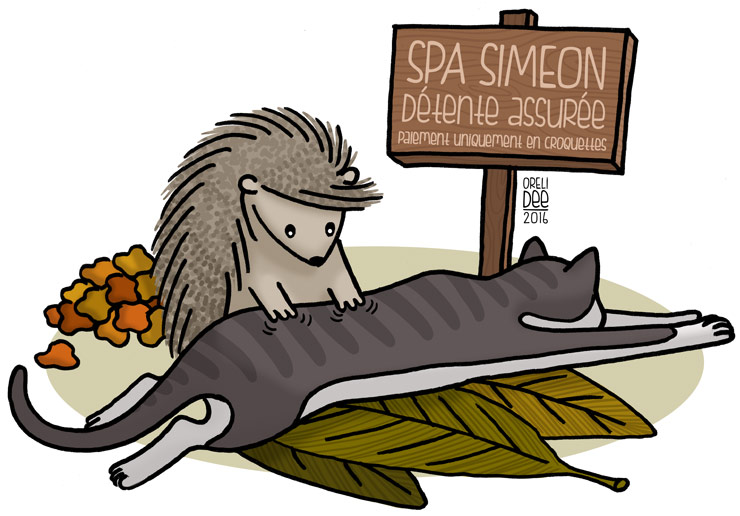 Siméon Spa - hérisson masseur pour chat