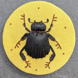 scarabée noir jaune